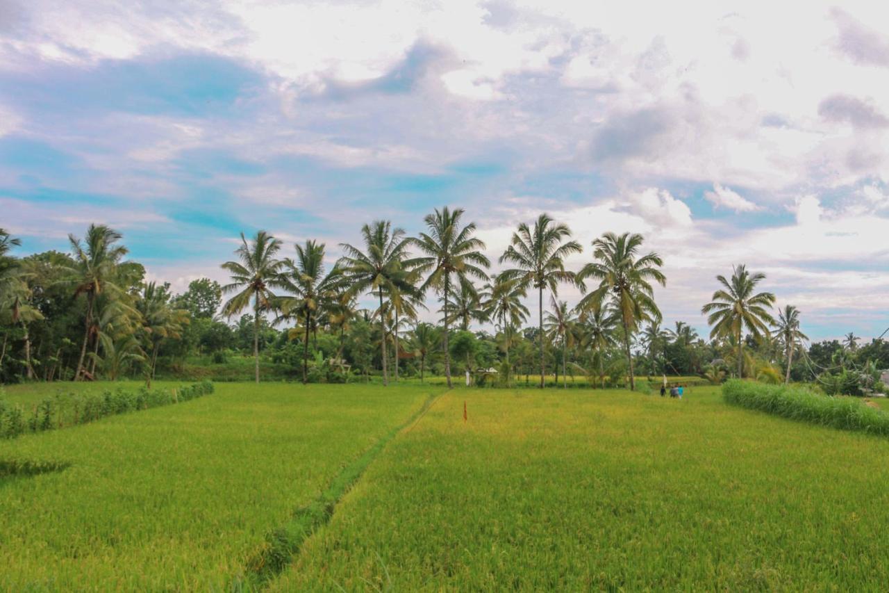Pondok Rinjani Bungalow Тетебату Екстер'єр фото