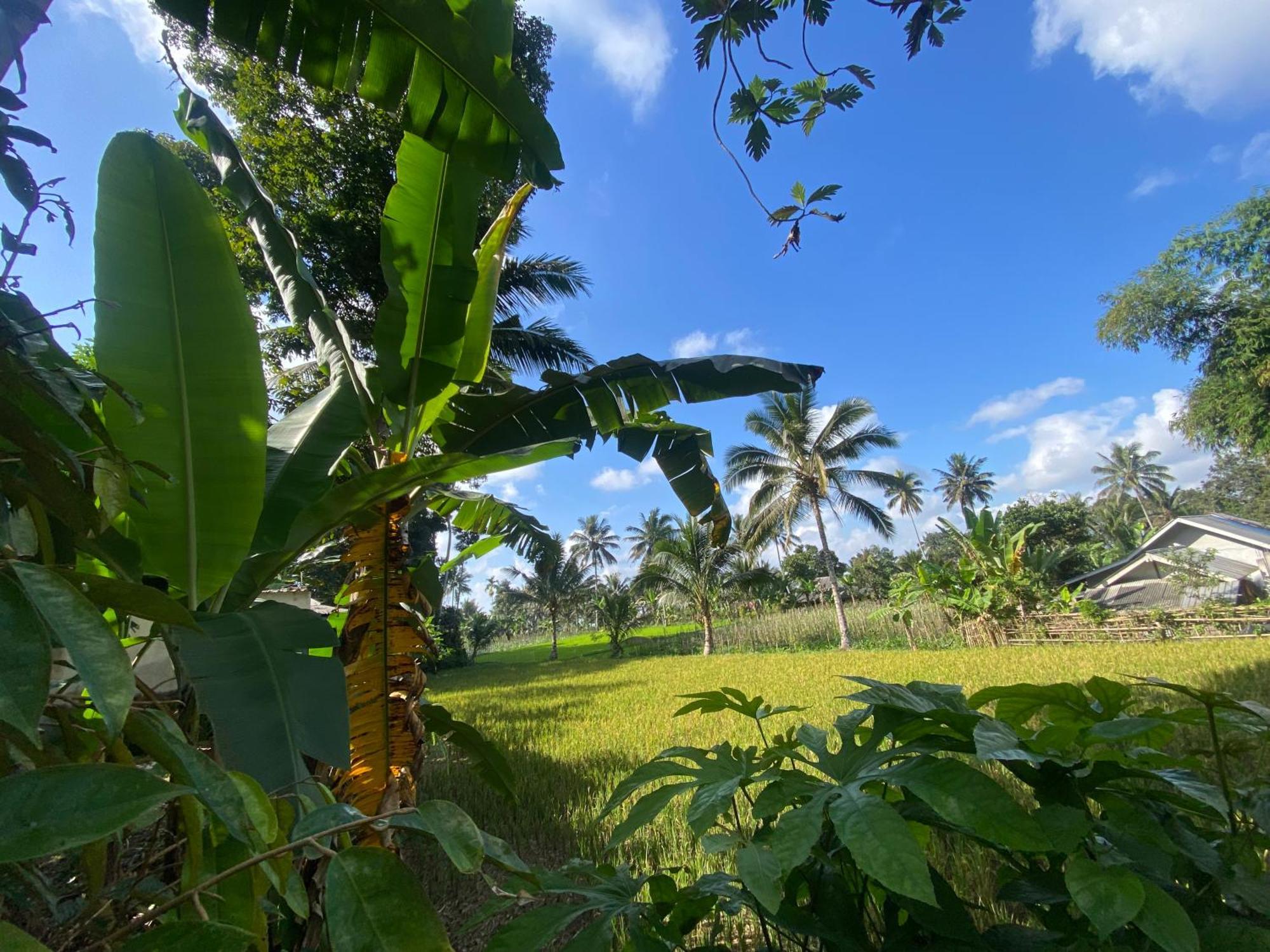 Pondok Rinjani Bungalow Тетебату Екстер'єр фото